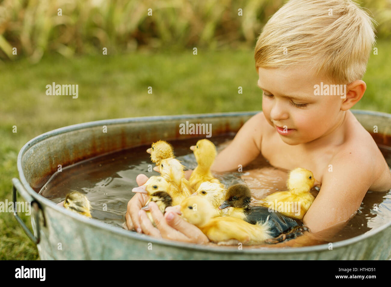 Little cute boy play with duckling in the hands on a bright background