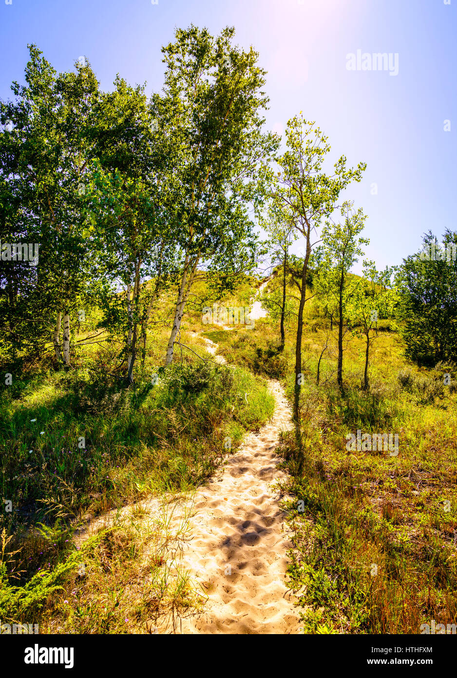 Hiking trail in Sleeping Bear Dunes National Lakeshore in Northern Michigan Stock Photo Alamy