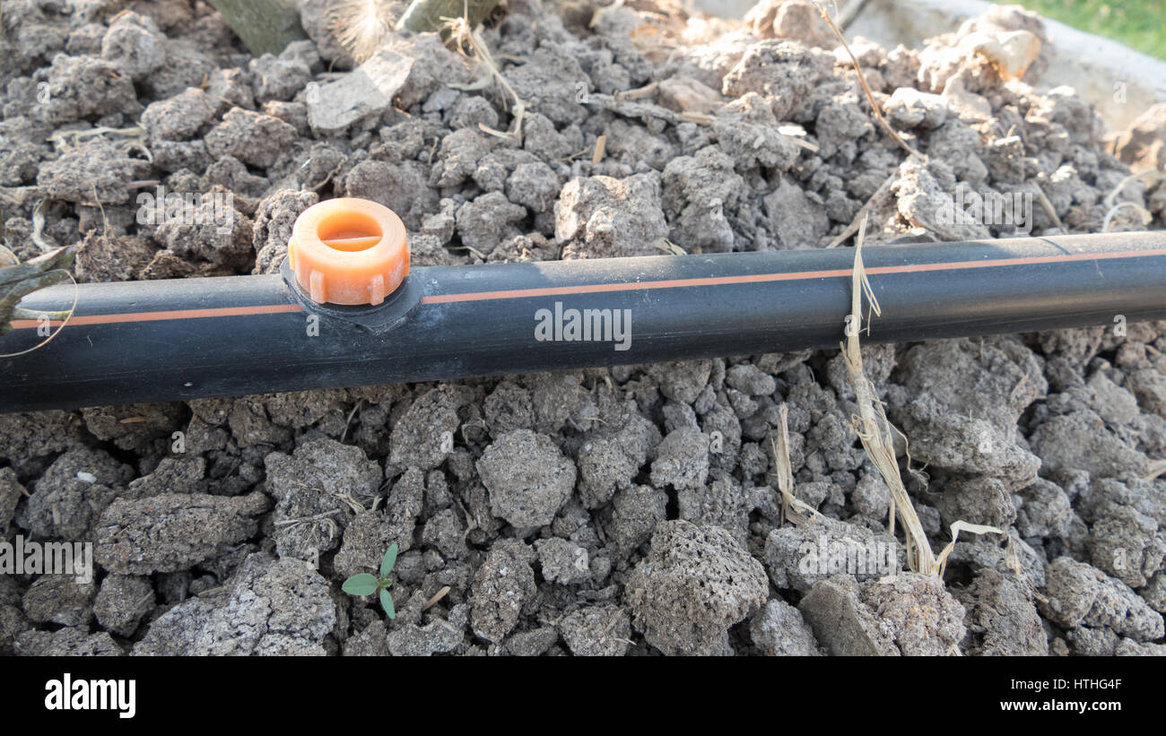 Irrigation system in function watering agricultural plants Stock Photo