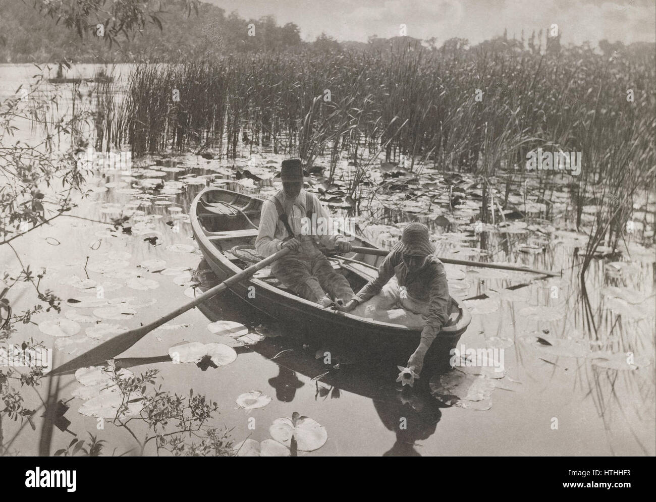 Peter Henry Emerson - Gathering Waterlilies - Google Art Project Stock Photo