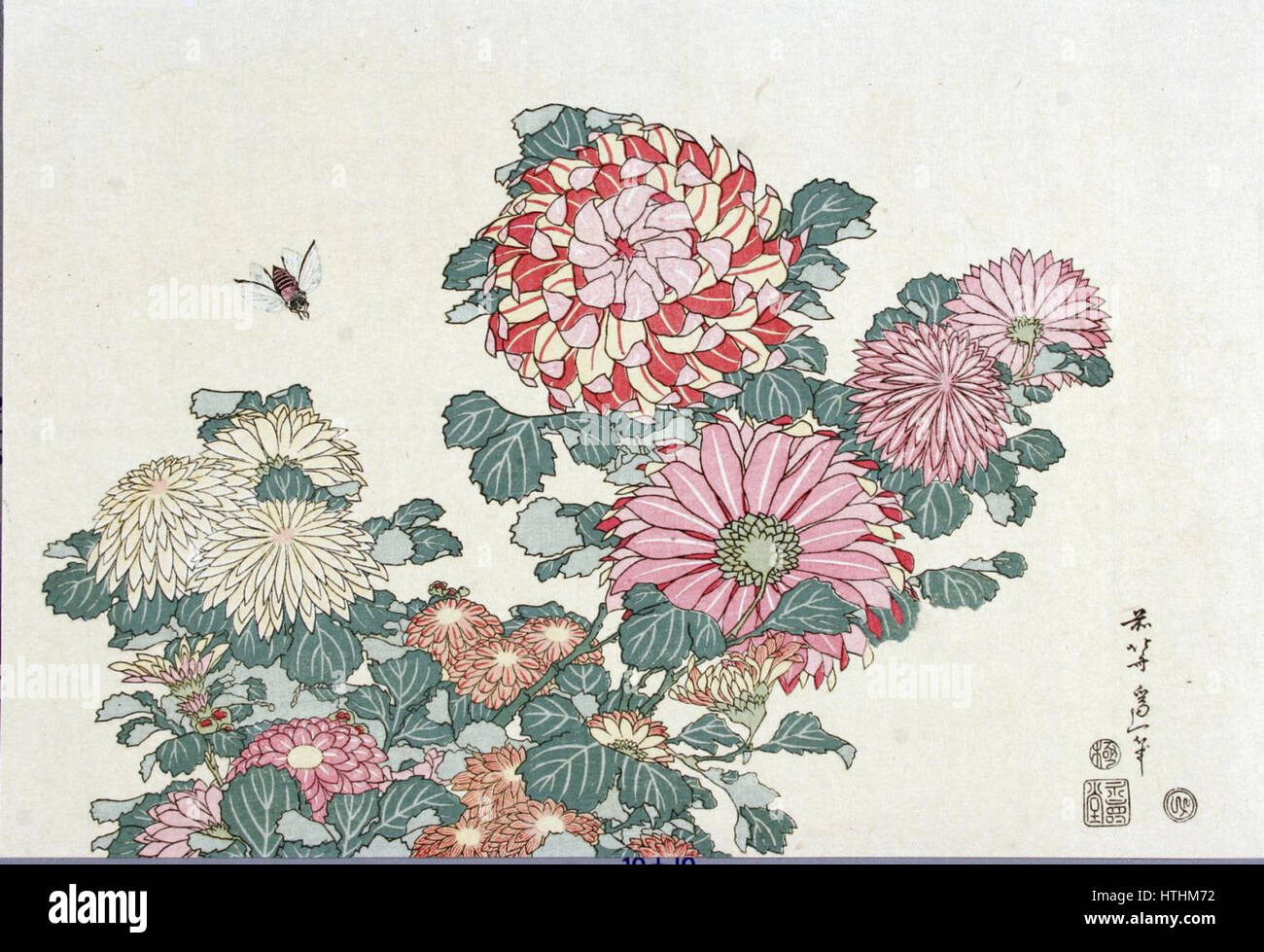 Katsushika Hokusai (1760-1849), Chrysanten met honingbij Stock Photo
