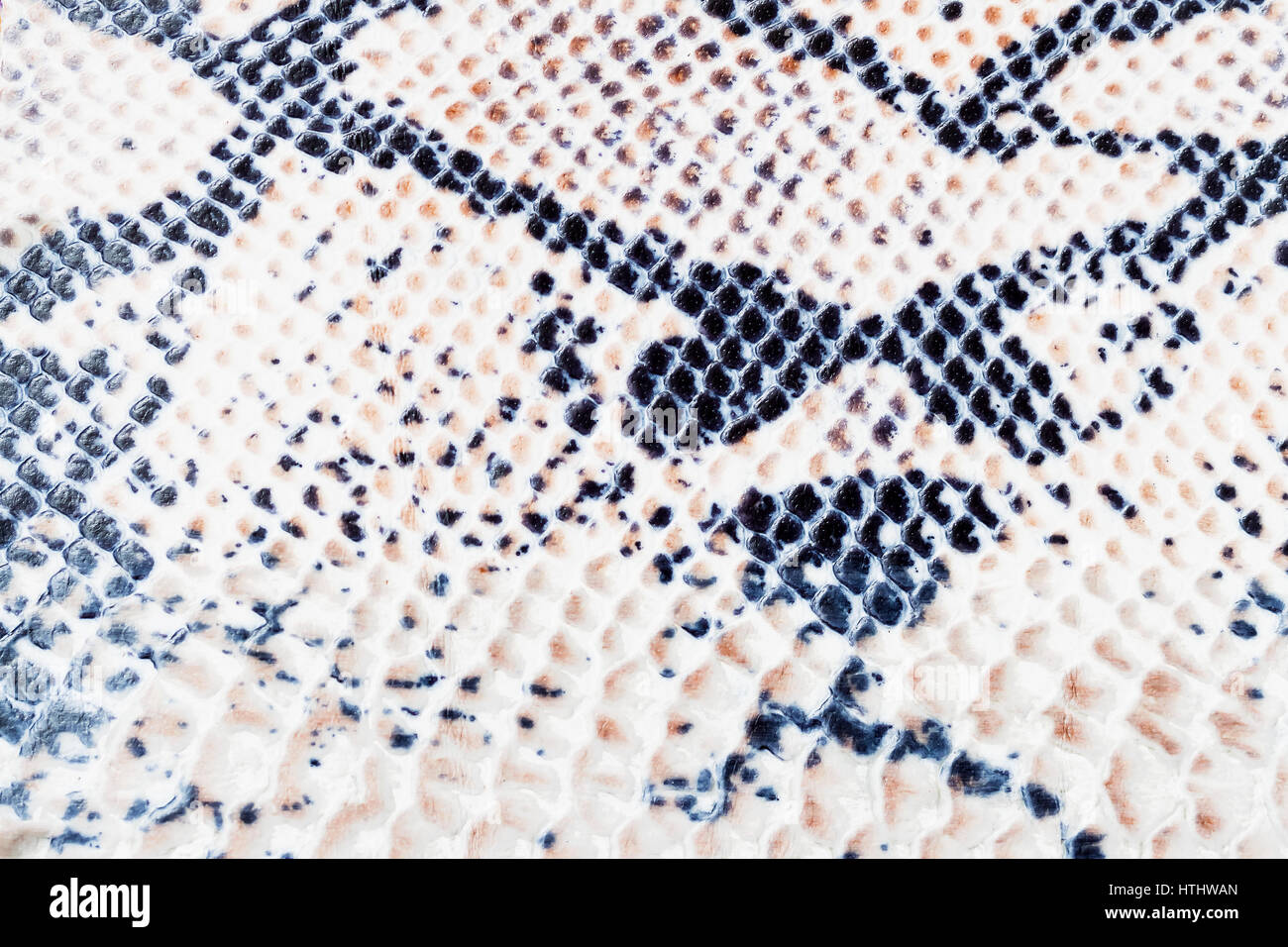 Rattlesnake skin pattern hi-res stock photography and images - Alamy