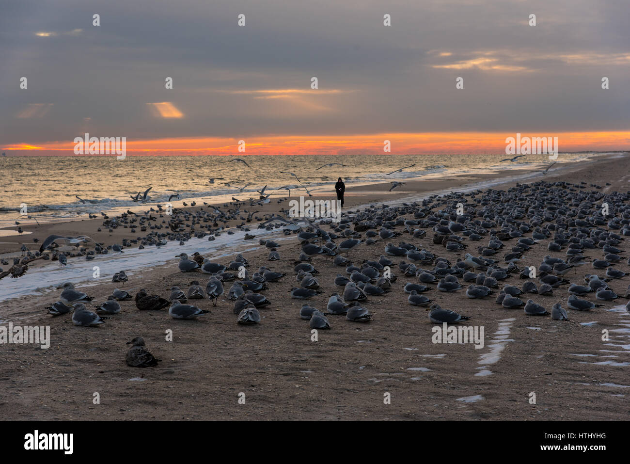 Lonely man snow beach hi-res stock photography and images - Alamy