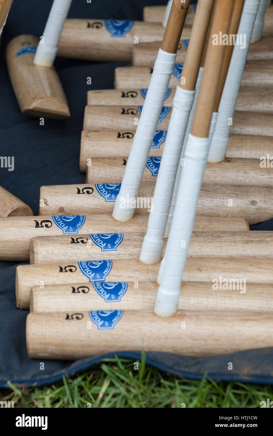 Assorted Polo equipment Stock Photo Alamy