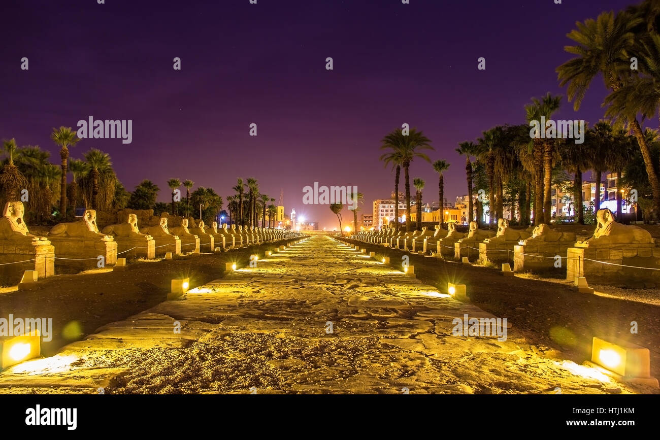 Alley of the Sphinxes in Luxor - Egypt Stock Photo