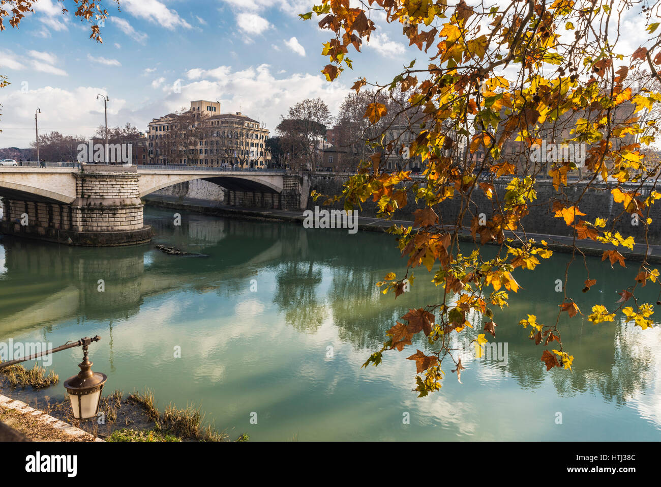 Branches of dry leaves on Tiber river passing through Rome, Italy Stock  Photo - Alamy