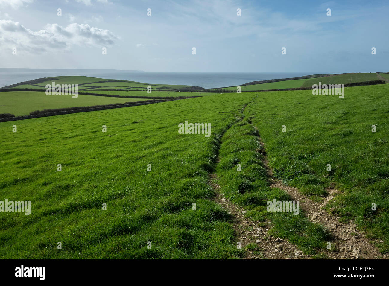 Road through fields uk hires stock photography and images Alamy