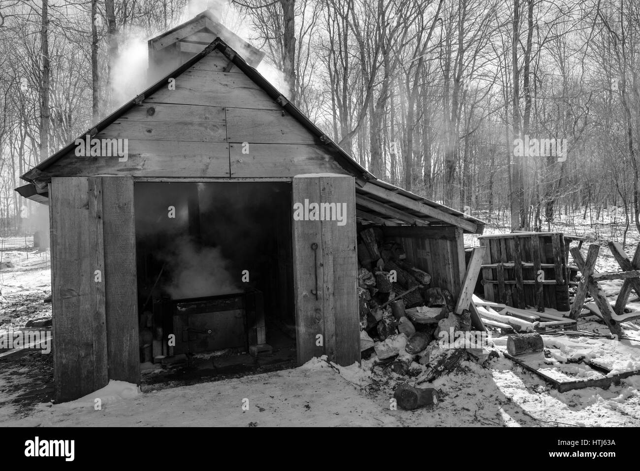 Old fashioned sugar shack in a maple syrup farm / sugar bush in London, Ontario, Canada. Stock Photo