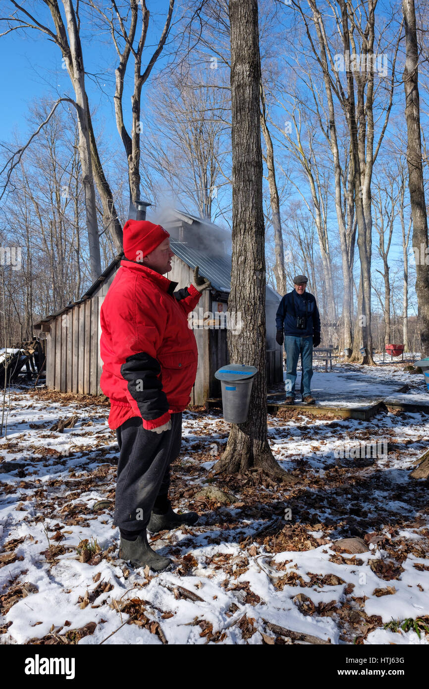A volunteer explains how maple syrup is extracted in front of a maple