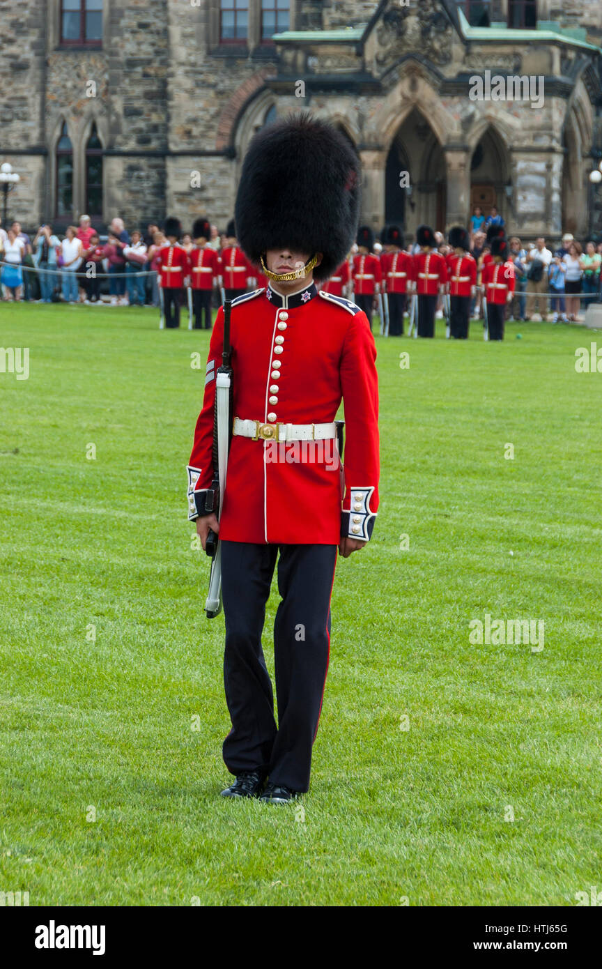 Grenadiers hat hi-res stock photography and images - Alamy