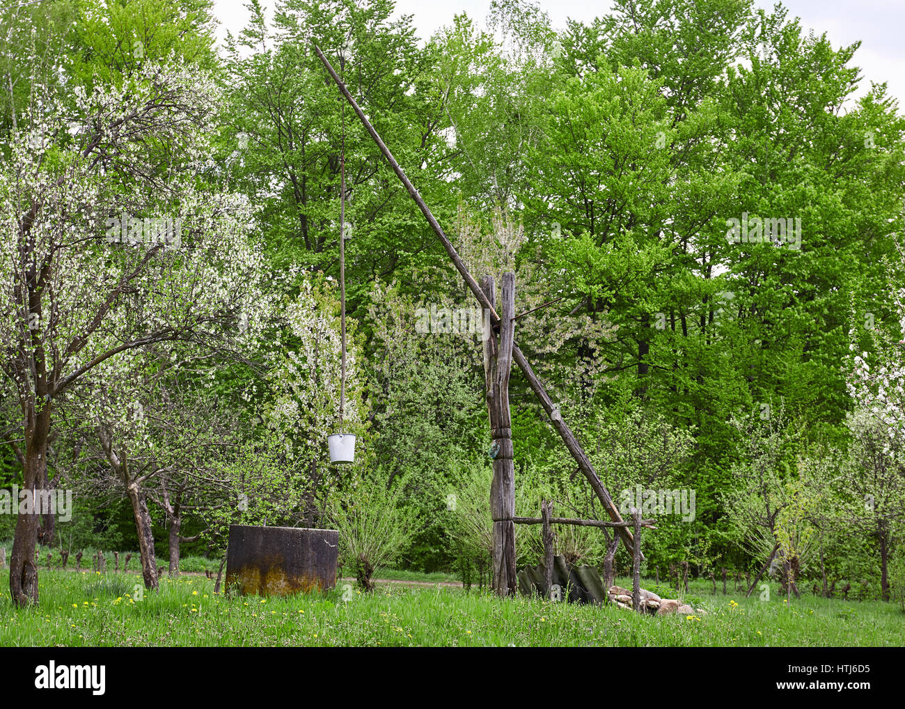 Old wooden shadoof in green forest Stock Photo