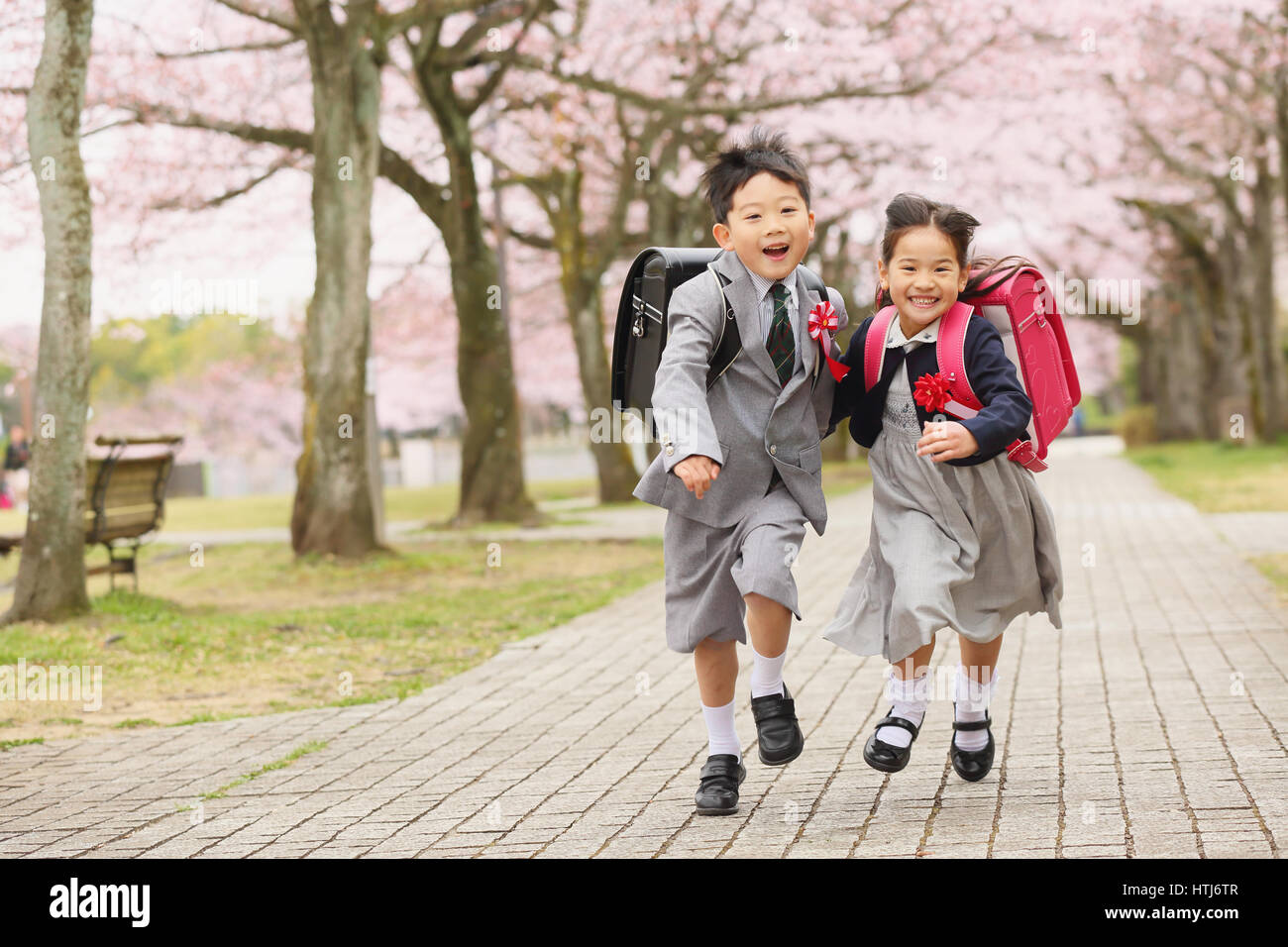 Japanese kids with cherry blossoms in a city park Stock Photo