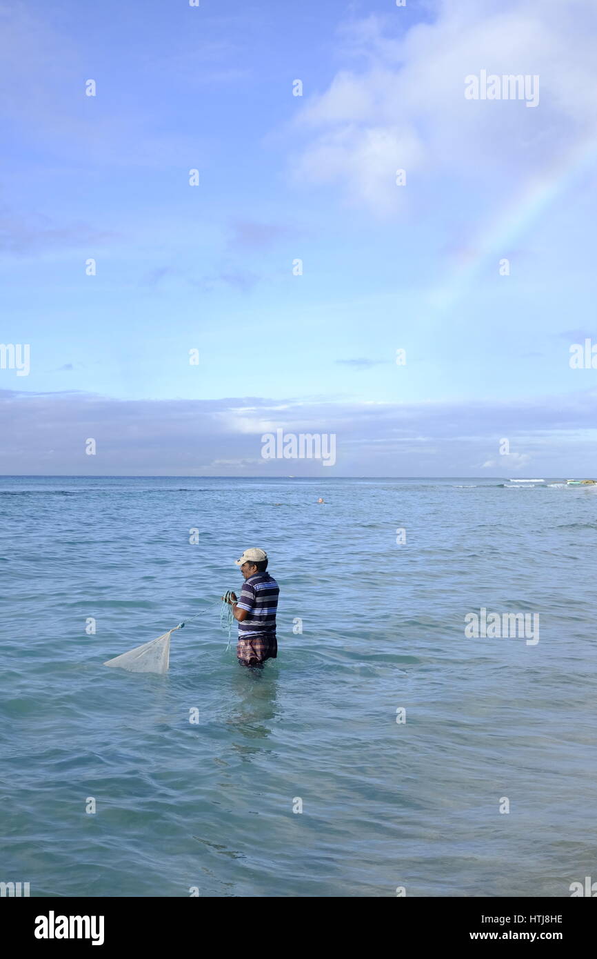 Fisherman casting his net in the sea, Hastings, Barbados, Caribbean Stock Photo