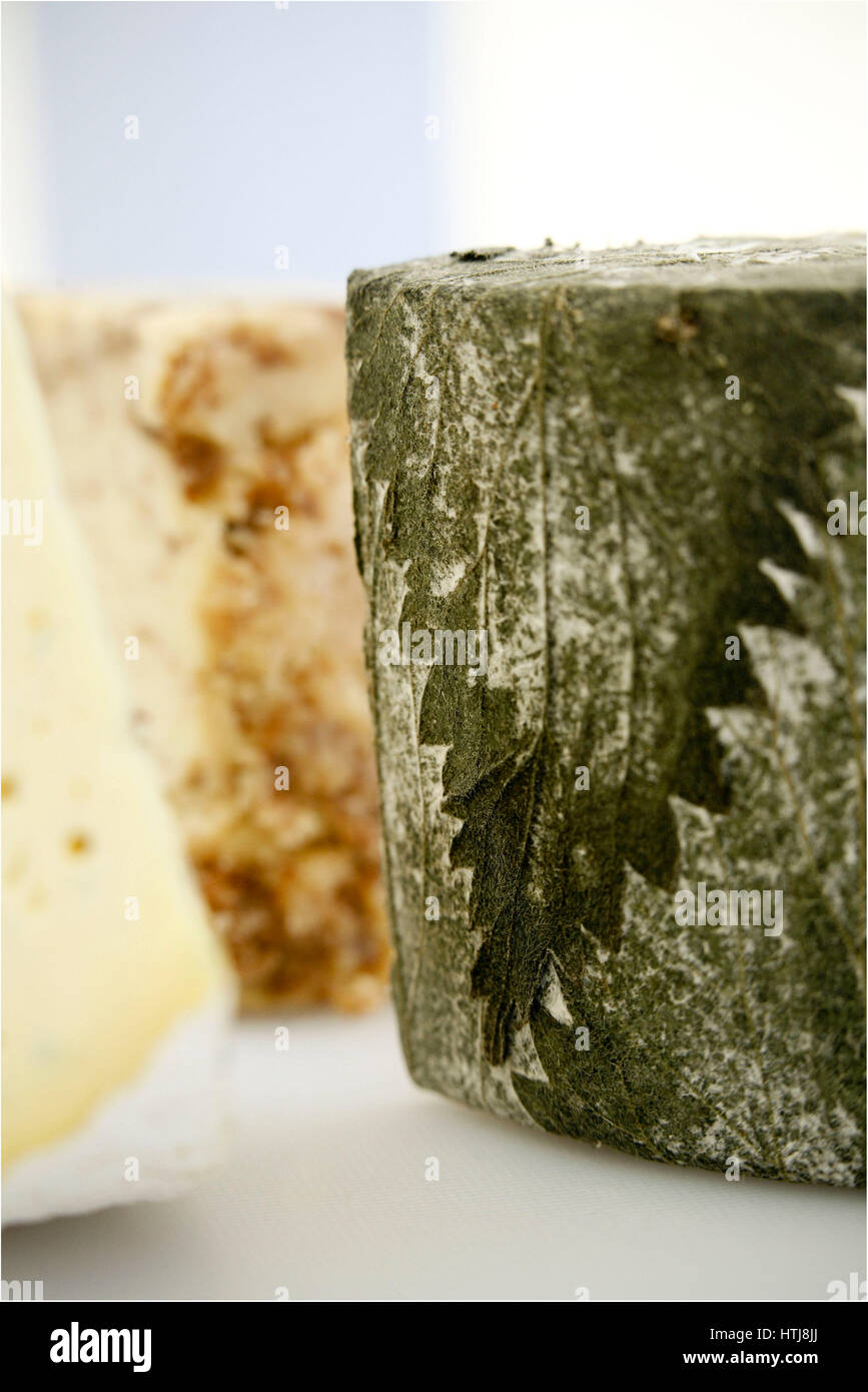 The great British Cheese Festival, Cardiff Castle Stock Photo Alamy