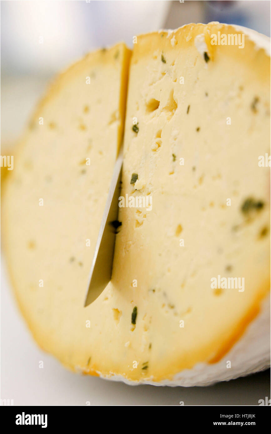 The great British Cheese Festival, Cardiff Castle Stock Photo Alamy