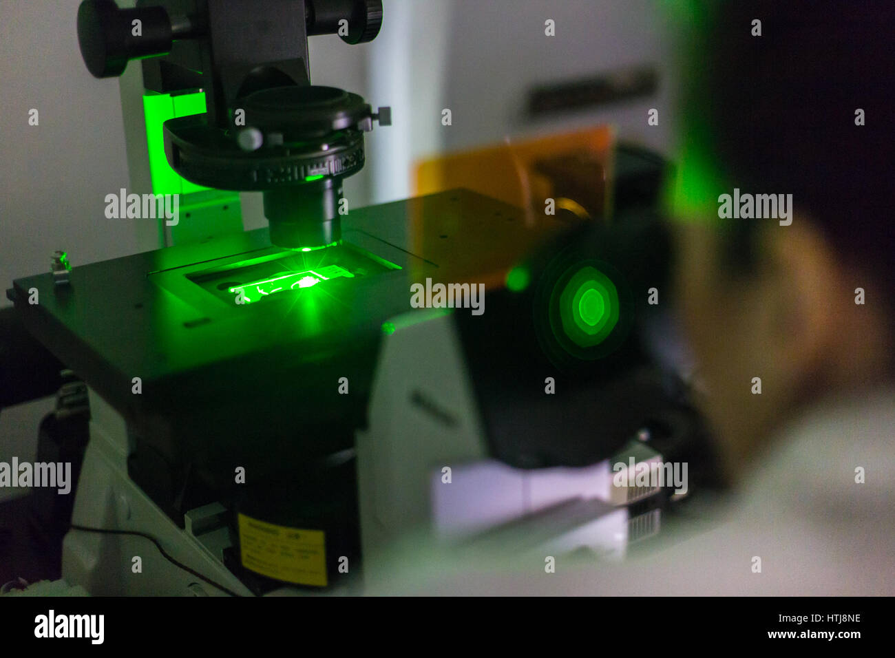 Life science researcher microscoping in genetic scientific laboratory. Stock Photo