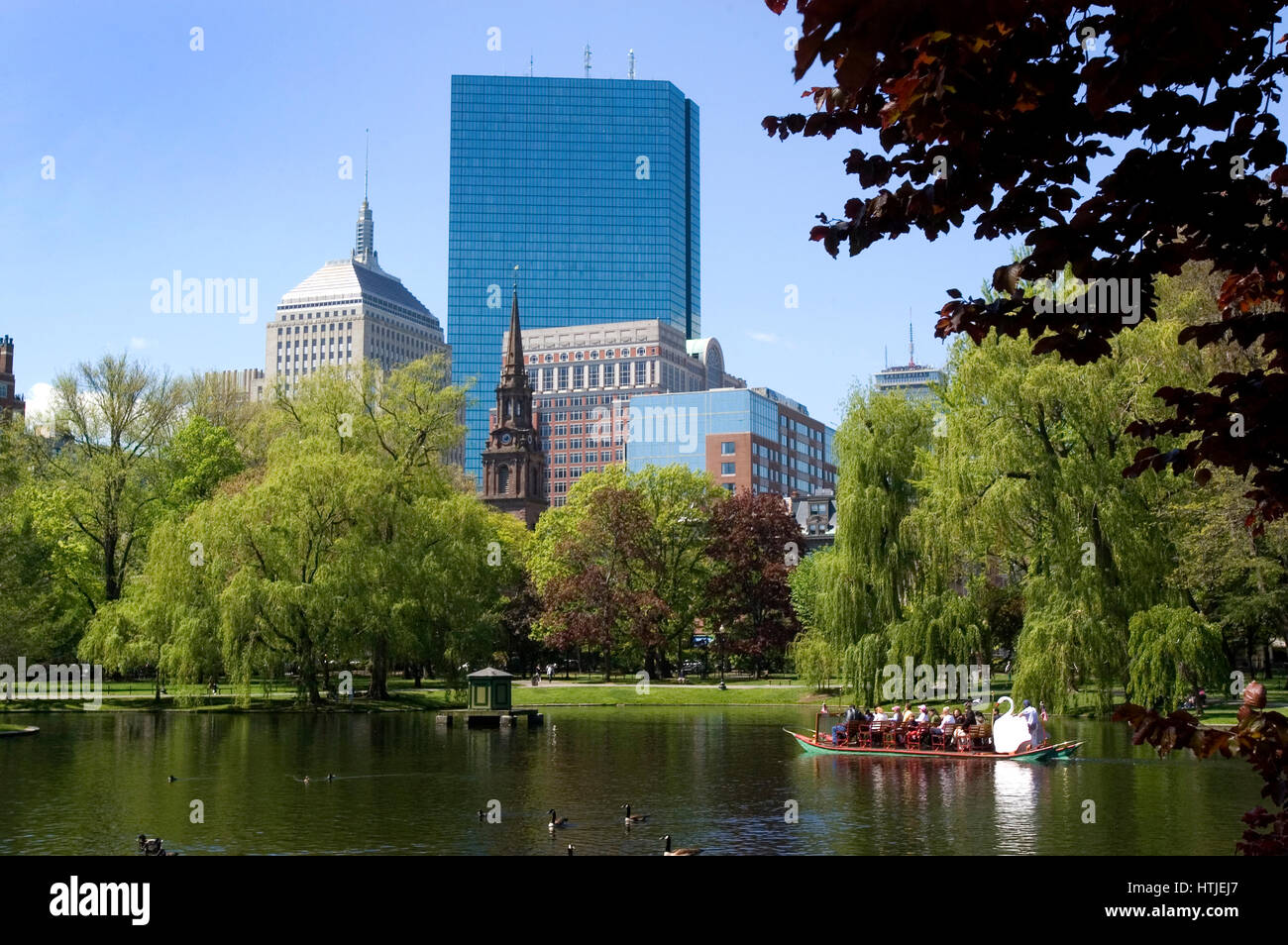 The Boston Public Gardens and the historic swanboats Stock Photo