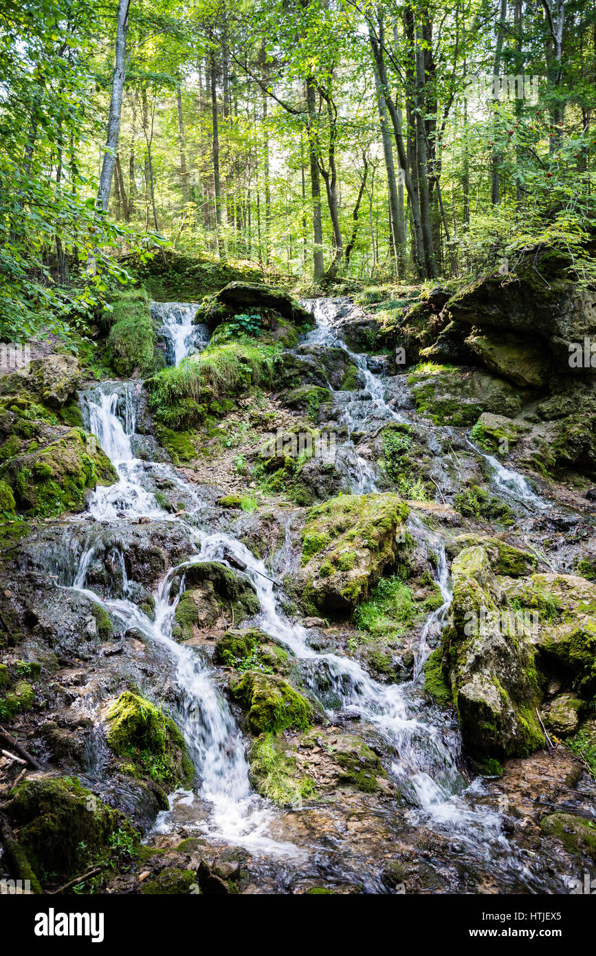 rocky waterfall in summer with stream and low water in forest Stock ...