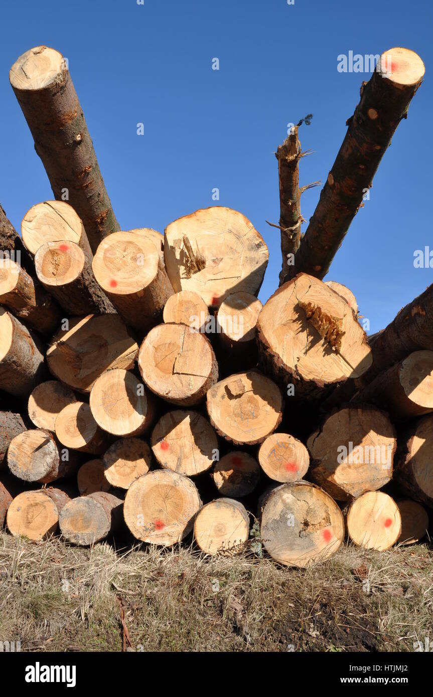 Logs in pile hi-res stock photography and images - Alamy