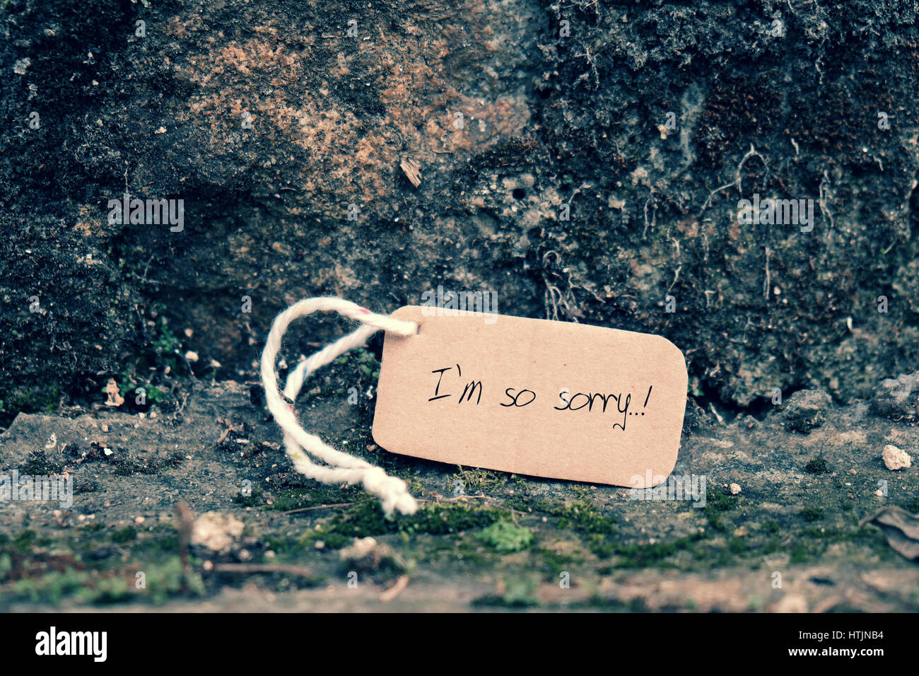 85 Quotes About Selfish, Jealous, Fake Friends (+ Images) – Adorned Heart, image size:1300x956