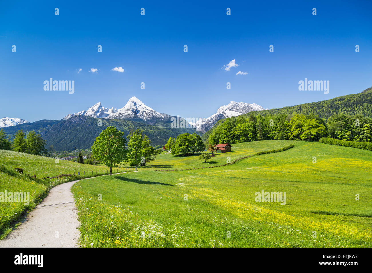 Idyllic summer landscape in the Alps, Nationalpark Berchtesgadener Land, Bavaria, Germany Stock Photo