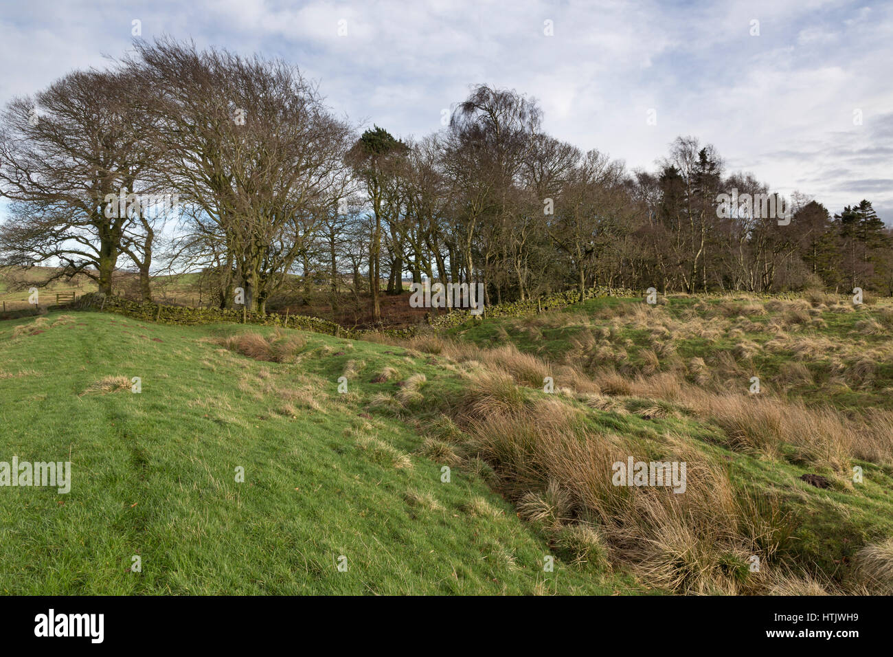 the vallum the vallum