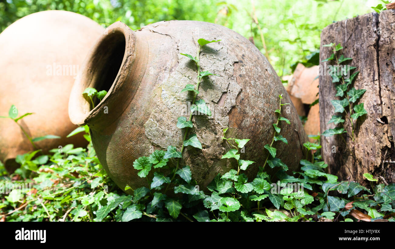 Old clay amphoras overgrown of grass Stock Photo