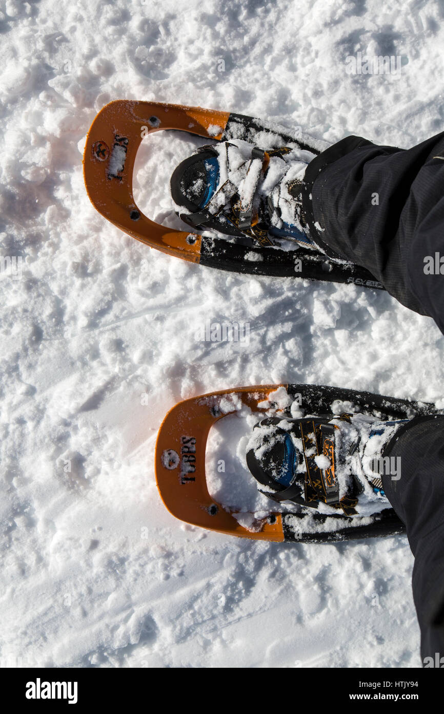 Person wearing snow shoes in snow Stock Photo Alamy