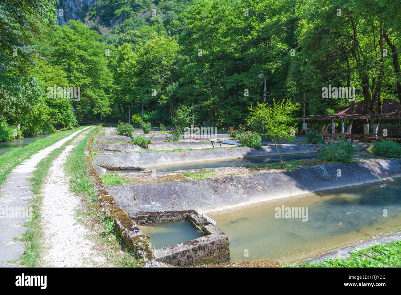 Concrete pools on a trout farm in Abkhazia Stock Photo