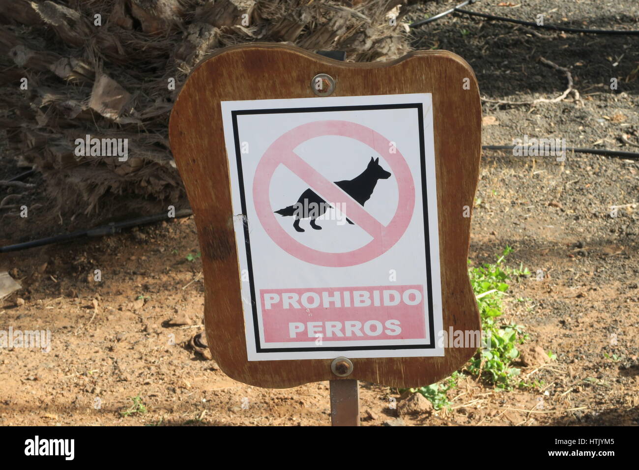 No dogs allowed on the beach Stock Photo Alamy