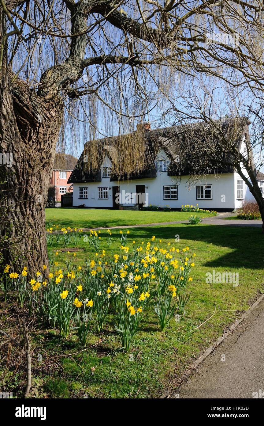 44 and 46 High Street, Foxton, Cambridgeshire, are part of the variety of delightful thatched cottages in the village. Stock Photo
