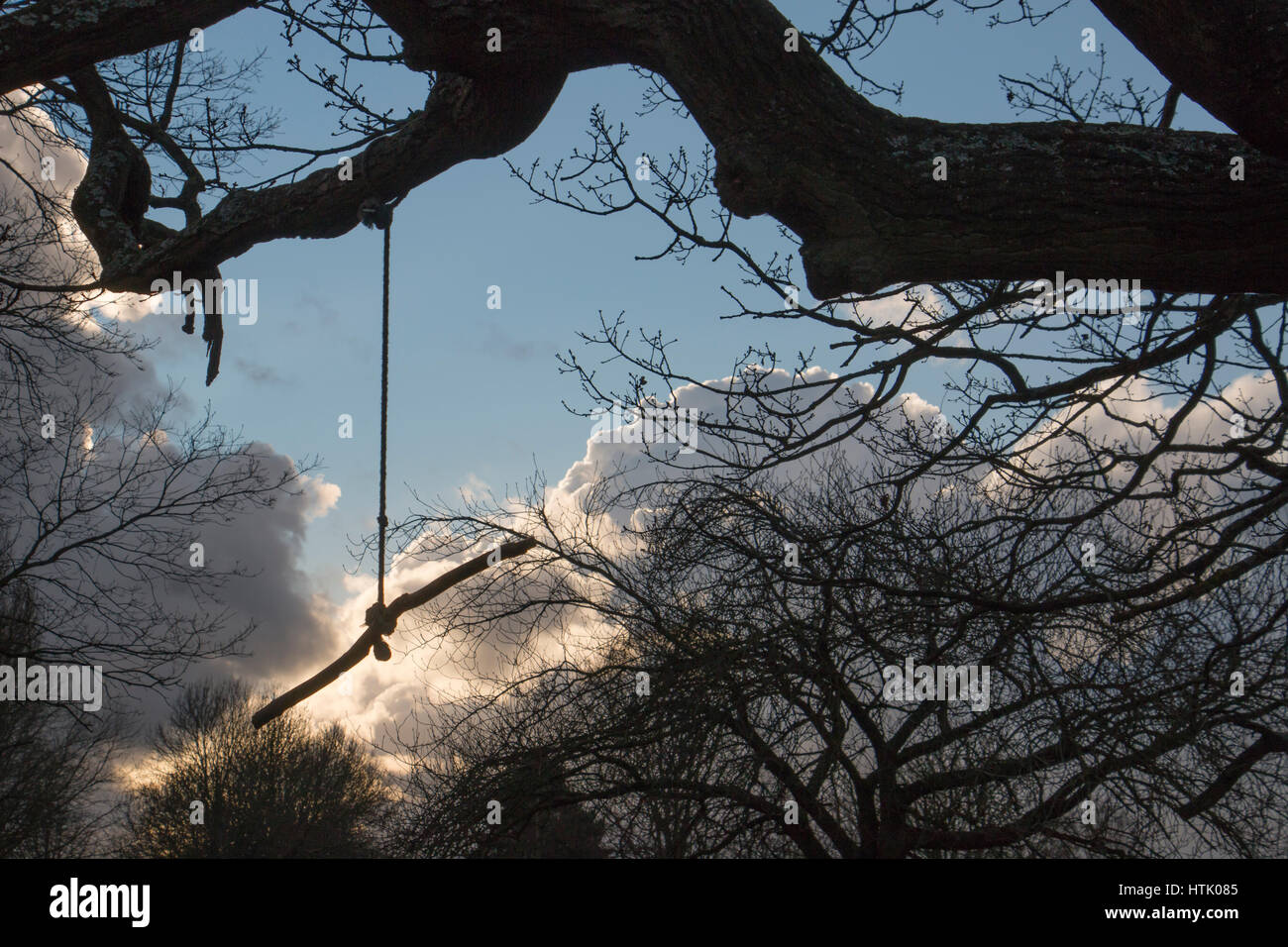 Big tree branch with small hanging swing Stock Photo Alamy