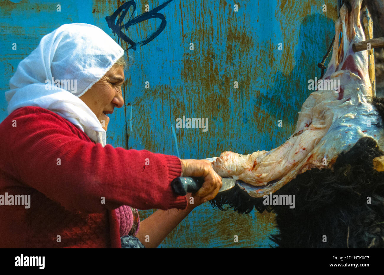 Goat Slaughter Stock Photos for Lamb Slaughterhouse
67qdu Goat Slaughter Stock Photos for Lamb Slaughterhouse
67qdu