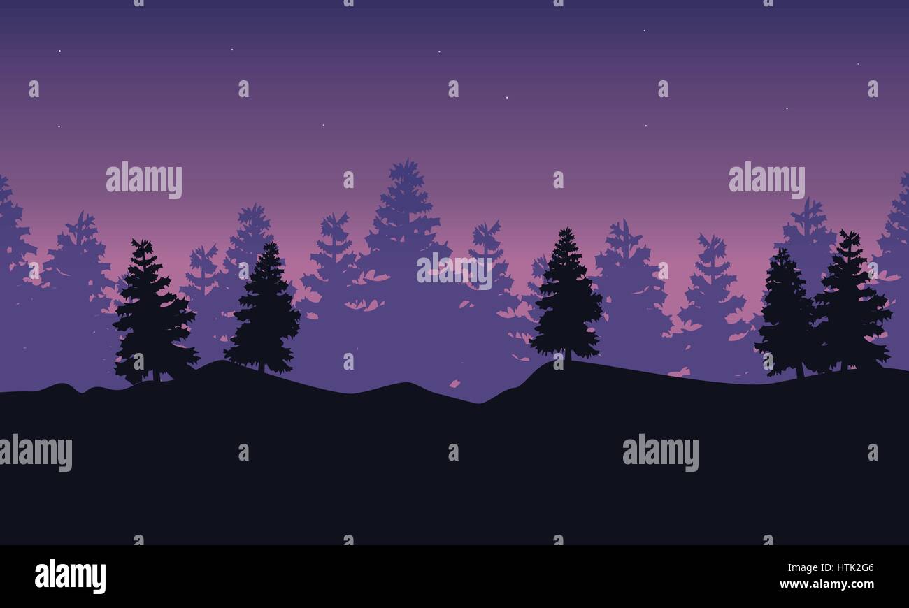 Silhouette of spruce scenery at night Stock Vector Image & Art - Alamy