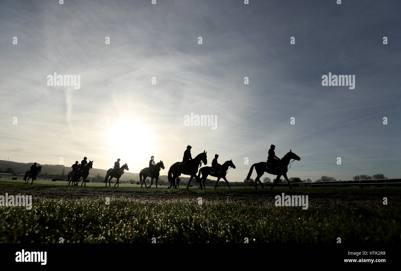Trainer Gordon Elliotts' horses make their way to the gallops tat Cheltenham Racecourse. Stock Photo