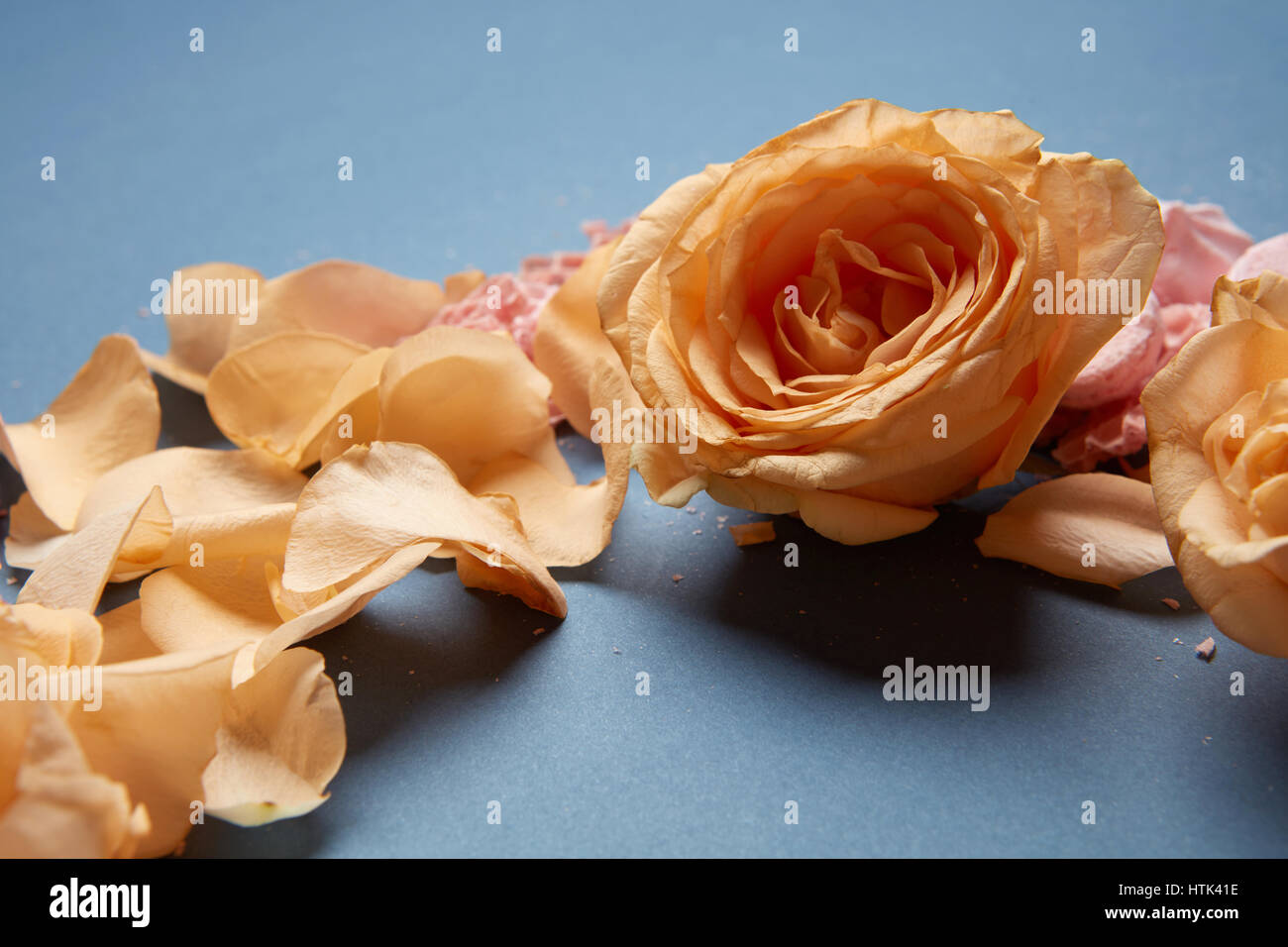 Beautiful bouquet of roses on a blue background Stock Photo - Alamy