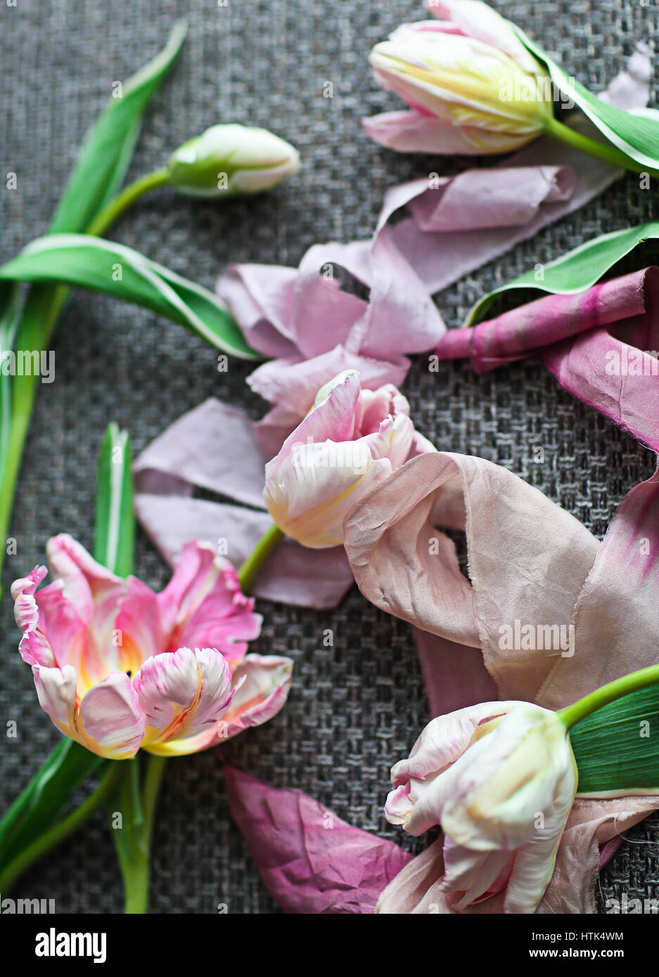 Beautiful pink tulips with ribbon on gray background Stock Photo - Alamy