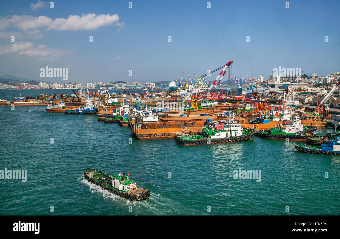 South Korea, Yeongnam Region, Busan, Port of Busan with view of tug boat moorings at Yeongdo