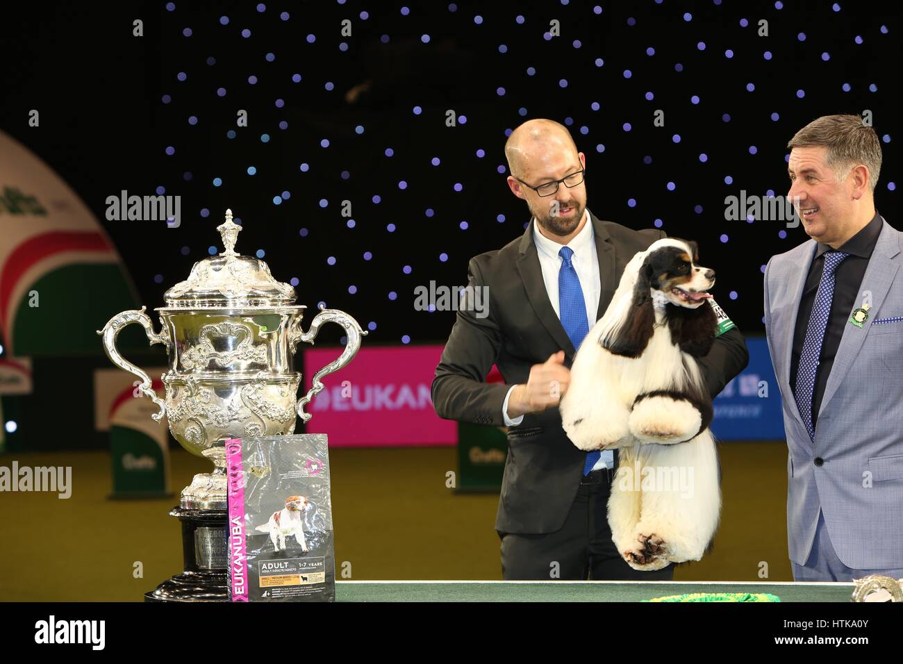 Crufts Best in Show, Birmingham, UK. 12th Mar, 2017. Crufts 2017 Champion Afterglow Miami Ink, an American Cocker Spaniel from Blackpool shown by Jason Lynn who is the joint owner of Miami with Rui Da Silva. Credit: Jon Freeman/Alamy Live News Stock Photo