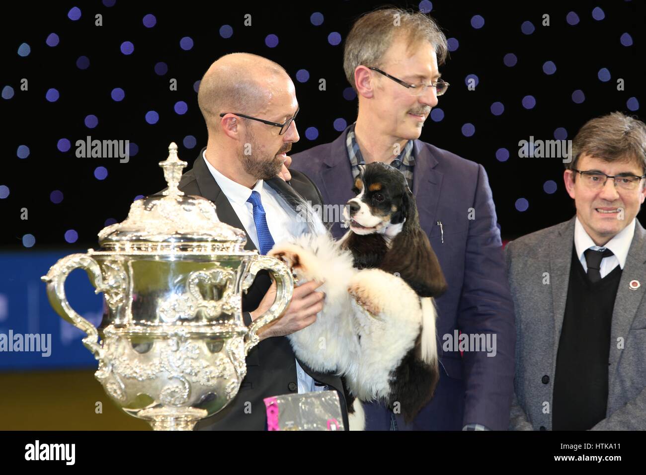 Crufts Best in Show, Birmingham, UK. 12th Mar, 2017. Crufts 2017 Champion Afterglow Miami Ink, an American Cocker Spaniel from Blackpool shown by Jason Lynn who is the joint owner of Miami with Rui Da Silva. Credit: Jon Freeman/Alamy Live News Stock Photo