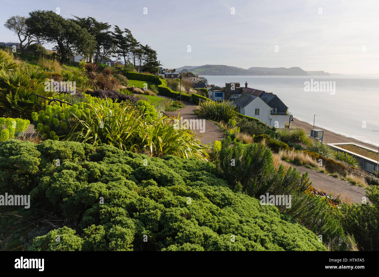 Lyme Regis, Dorset, UK.  13th March 2017.  UK Weather. Beautiful warm spring sunshine and blues skies during the morning at the seaside resort of Lyme Regis on the Dorset Jurassic Coast.  The view is looking East along the coast from Langmoor Gardens.  Photo by Graham Hunt/Alamy Live News Stock Photo