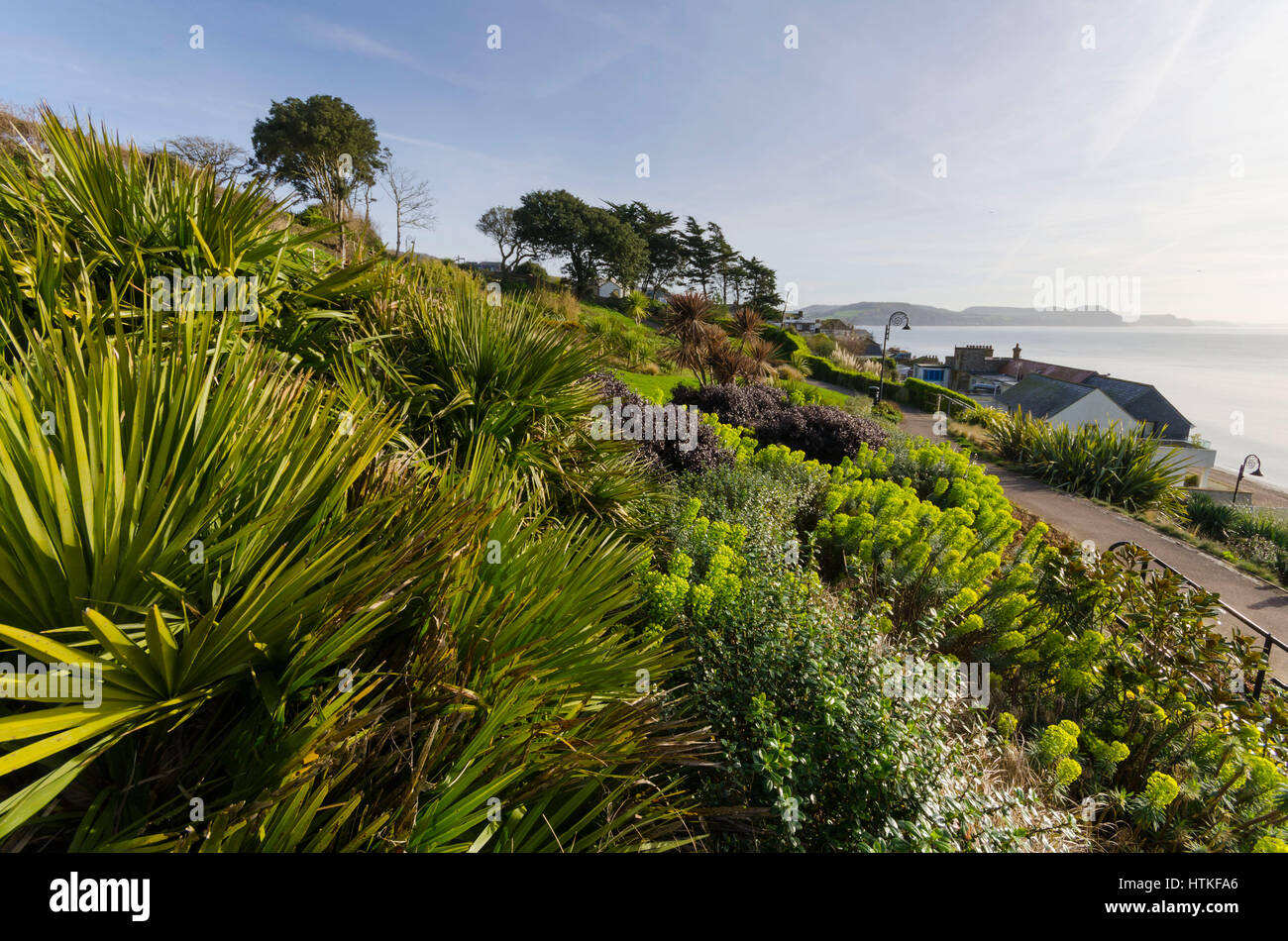 Lyme Regis, Dorset, UK.  13th March 2017.  UK Weather. Beautiful warm spring sunshine and blues skies during the morning at the seaside resort of Lyme Regis on the Dorset Jurassic Coast.  The view is looking East along the coast from Langmoor Gardens.  Photo by Graham Hunt/Alamy Live News Stock Photo