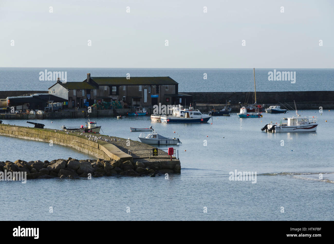 Lyme Regis, Dorset, UK.  13th March 2017.  UK Weather. Beautiful warm spring sunshine and blues skies during the morning at the seaside resort of Lyme Regis on the Dorset Jurassic Coast.  The view is of the Cobb harbour.  Photo by Graham Hunt/Alamy Live News Stock Photo