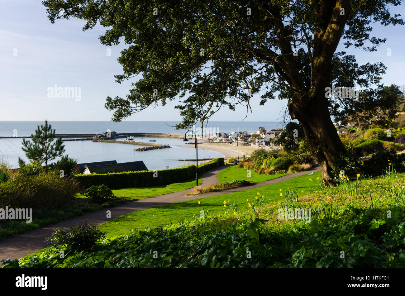 Lyme Regis, Dorset, UK.  13th March 2017.  UK Weather. Beautiful warm spring sunshine and blues skies during the morning at the seaside resort of Lyme Regis on the Dorset Jurassic Coast.  The view is of the Cobb harbour from Langmoor Gardens.  Photo by Graham Hunt/Alamy Live News Stock Photo