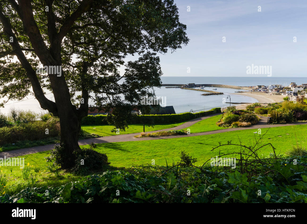 Lyme Regis, Dorset, UK.  13th March 2017.  UK Weather. Beautiful warm spring sunshine and blues skies during the morning at the seaside resort of Lyme Regis on the Dorset Jurassic Coast.  The view is of the Cobb harbour from Langmoor Gardens.  Photo by Graham Hunt/Alamy Live News Stock Photo