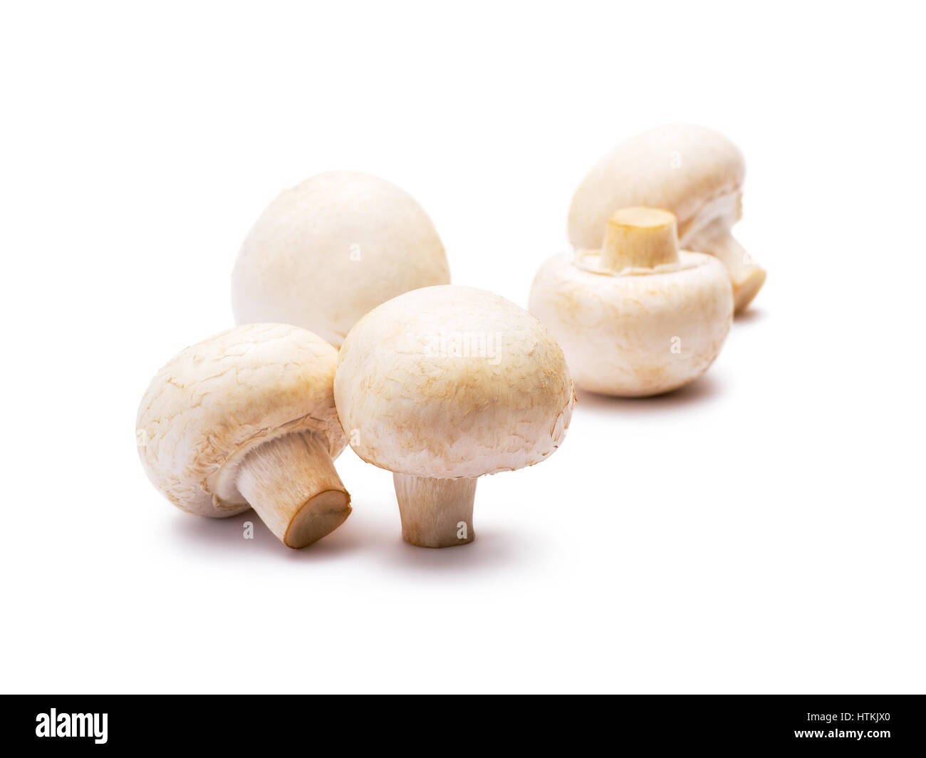 Five natural brown ripe Cut Out Stock Images Pictures Alamy Five natural brown ripe Cut Out Stock Images Pictures Alamy