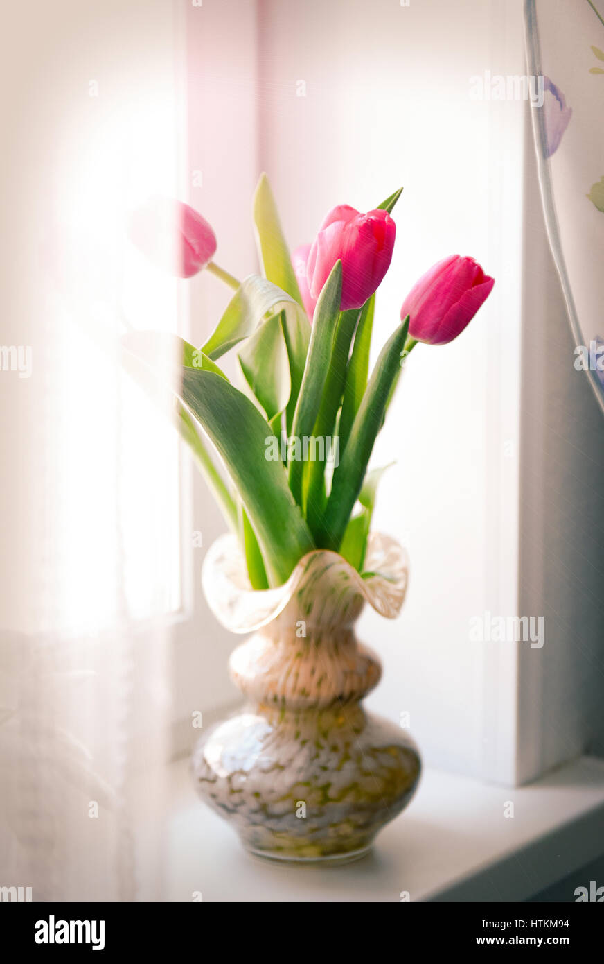 Beautiful tulips bunch in glass vase at window with spring nature Stock Photo