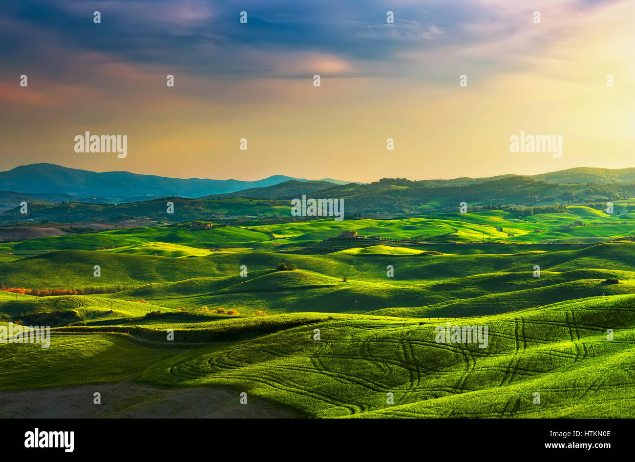 Tuscany spring, rolling hills on sunset. Rural landscape. Green fields and farmlands. Volterra Italy, Europe Stock Photo