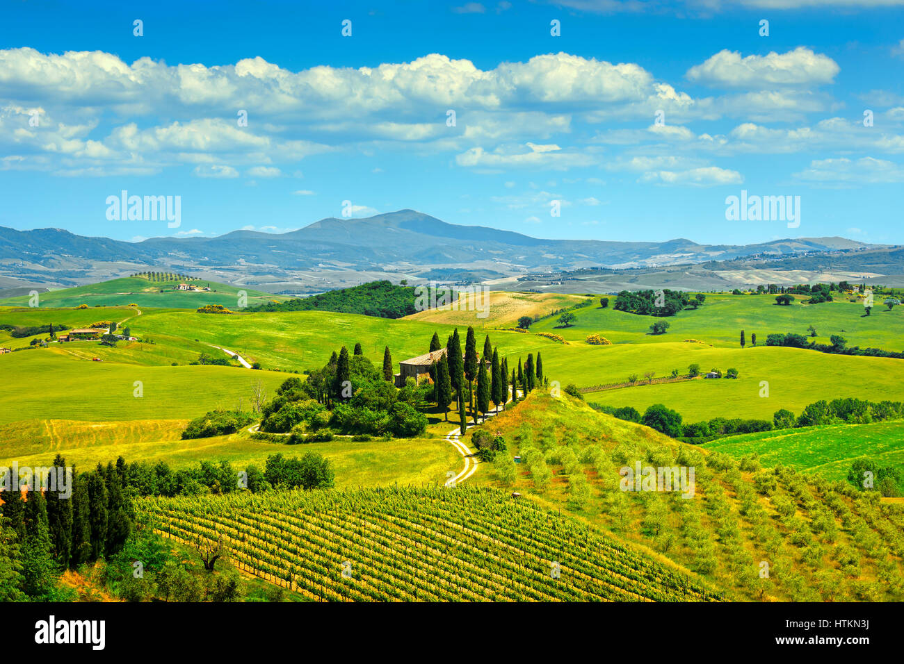 Tuscany, farmland and cypress trees country landscape, green fields. Italy, Europe. Stock Photo