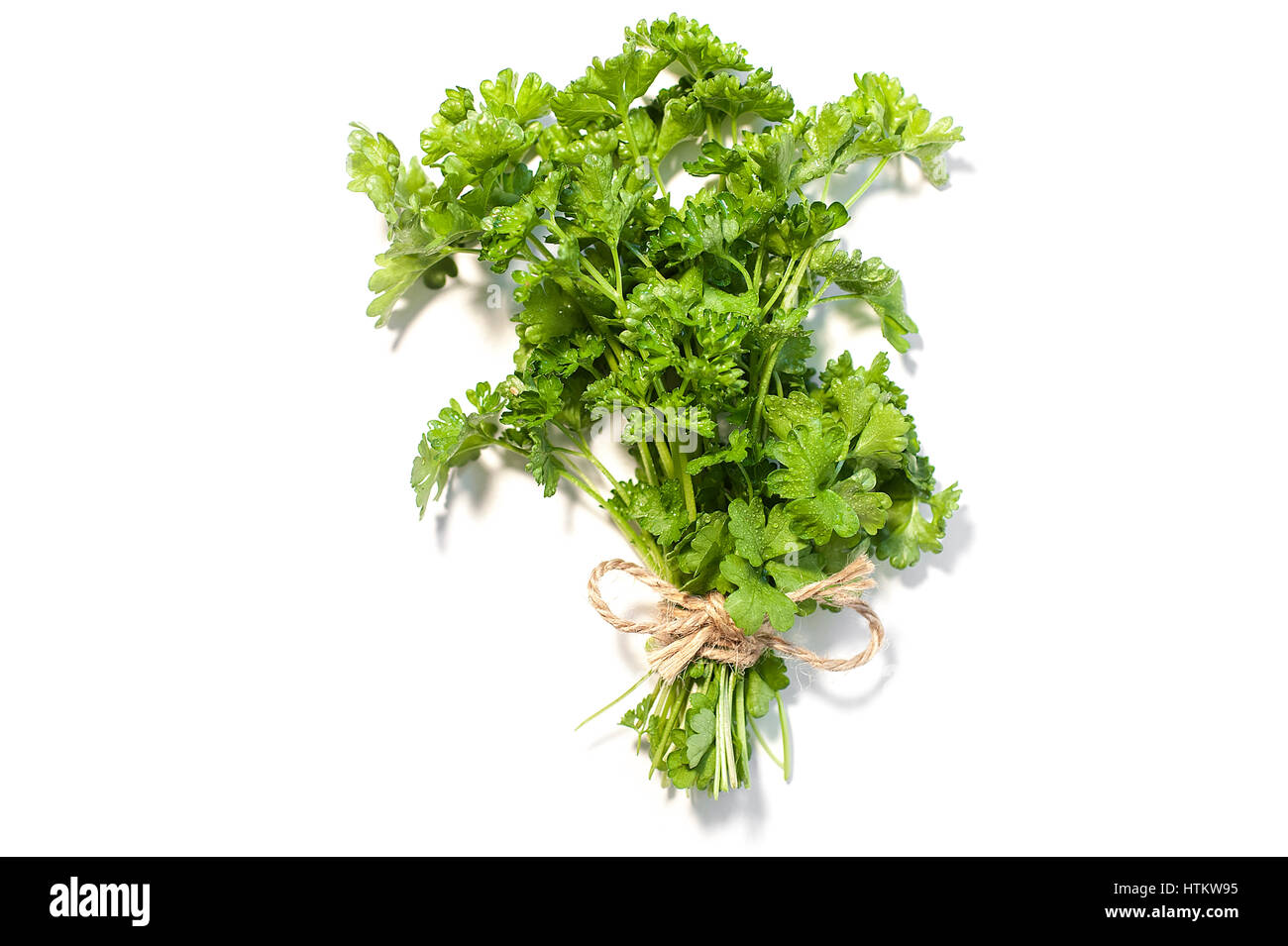 A parsley bunch isolated on white background Stock Photo Alamy